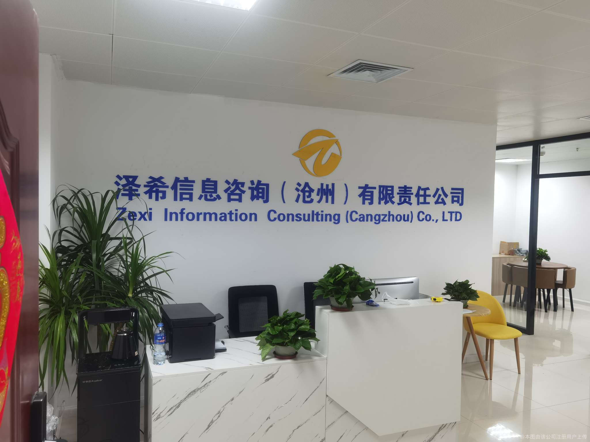 以专业信息咨询驱动决策智慧 泽希信息咨询的卓越实践
