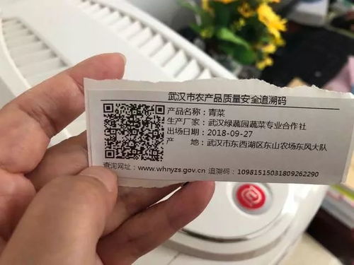武汉农产品质量安全追溯系统上线 市民可查询菜品“来龙去脉”